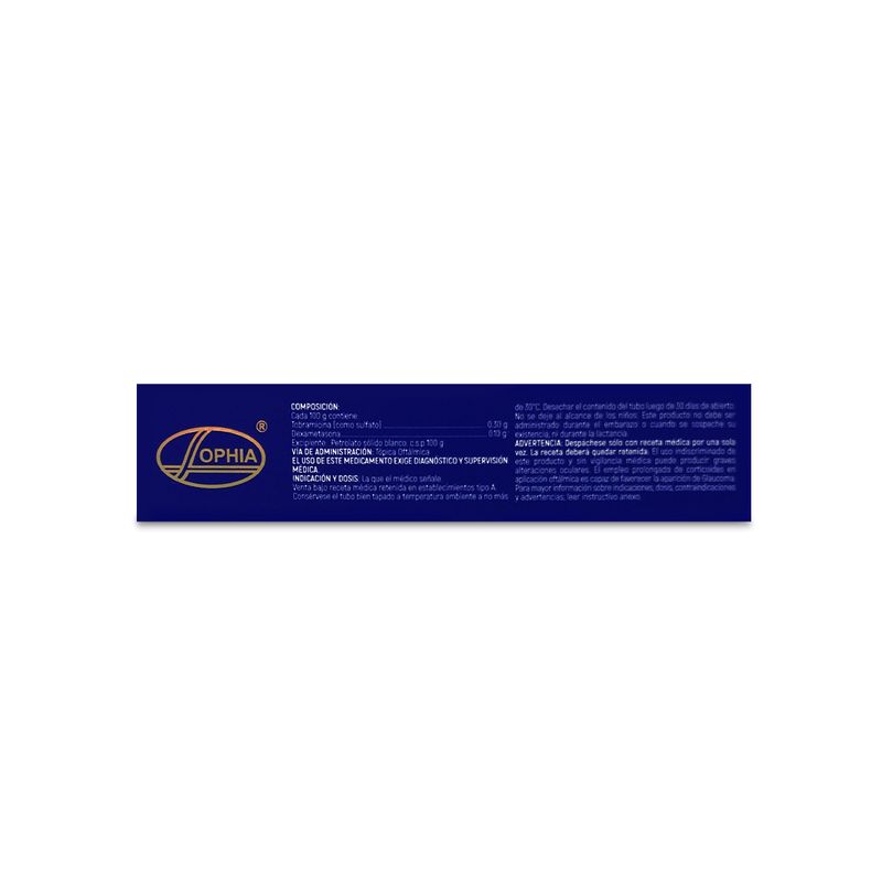 CH7161-1200X1200PX-2